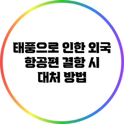 태풍으로 인한 외국 항공편 결항 시 대처 방법