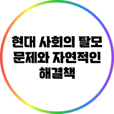 현대 사회의 탈모 문제와 자연적인 해결책