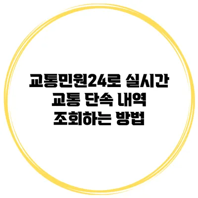 교통민원24로 실시간 교통 단속 내역 조회하는 방법