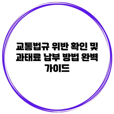 교통법규 위반 확인 및 과태료 납부 방법 완벽 가이드