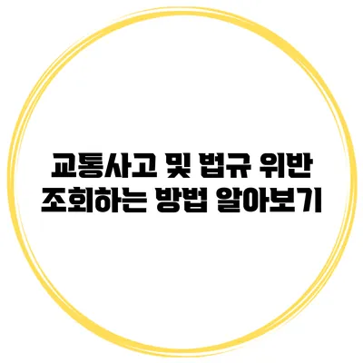 교통사고 및 법규 위반 조회하는 방법 알아보기