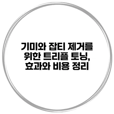 기미와 잡티 제거를 위한 트리플 토닝, 효과와 비용 정리