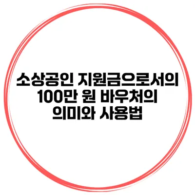 소상공인 지원금으로서의 100만 원 바우처의 의미와 사용법