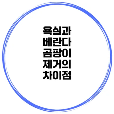 욕실과 베란다 곰팡이 제거의 차이점