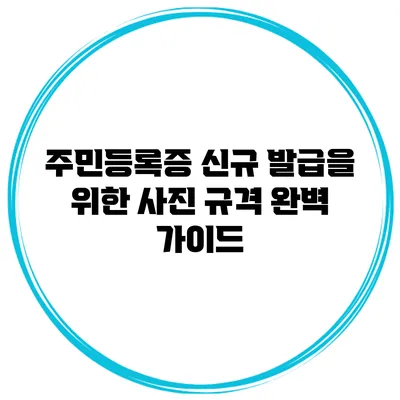 주민등록증 신규 발급을 위한 사진 규격 완벽 가이드