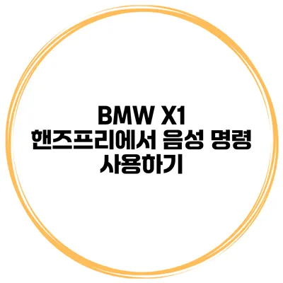 BMW X1 핸즈프리에서 음성 명령 사용하기