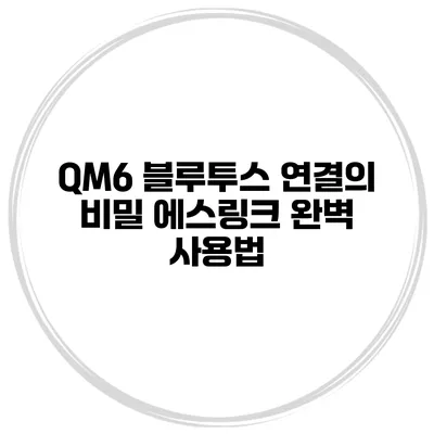 QM6 블루투스 연결의 비밀 에스링크 완벽 사용법