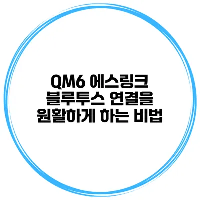 QM6 에스링크 블루투스 연결을 원활하게 하는 비법