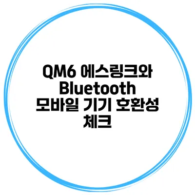 QM6 에스링크와 Bluetooth 모바일 기기 호환성 체크