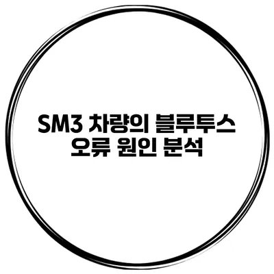 SM3 차량의 블루투스 오류 원인 분석