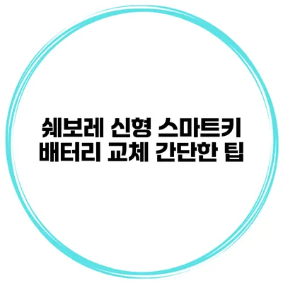 쉐보레 신형 스마트키 배터리 교체 간단한 팁