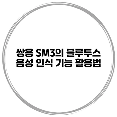 쌍용 SM3의 블루투스 음성 인식 기능 활용법