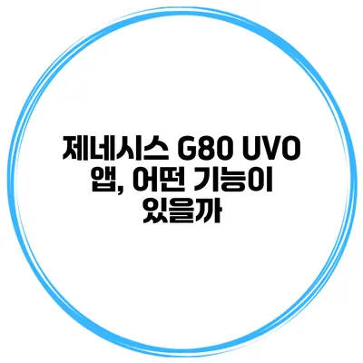 제네시스 G80 UVO 앱, 어떤 기능이 있을까?