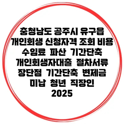충청남도 공주시 유구읍 개인회생 신청자격 조회 비용 수임료 | 파산 | 기간단축 | 개인회생자대출 | 절차서류 | 장단점 | 기간단축 | 변제금 미납 | 청년 | 직장인 2025