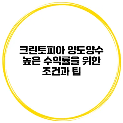 크린토피아 양도양수 높은 수익률을 위한 조건과 팁